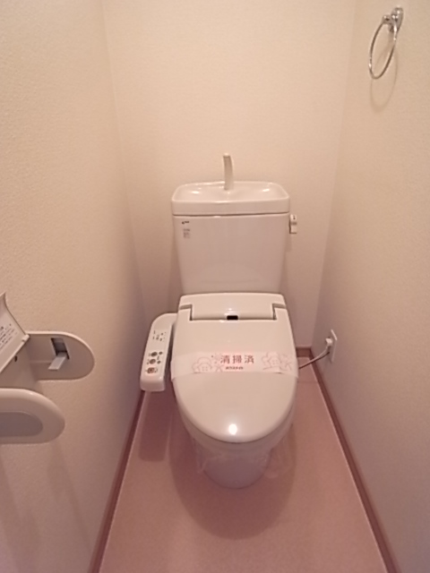 Toilet. Comfortable Washlet