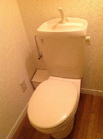 Toilet. toilet Unheated toilet seat