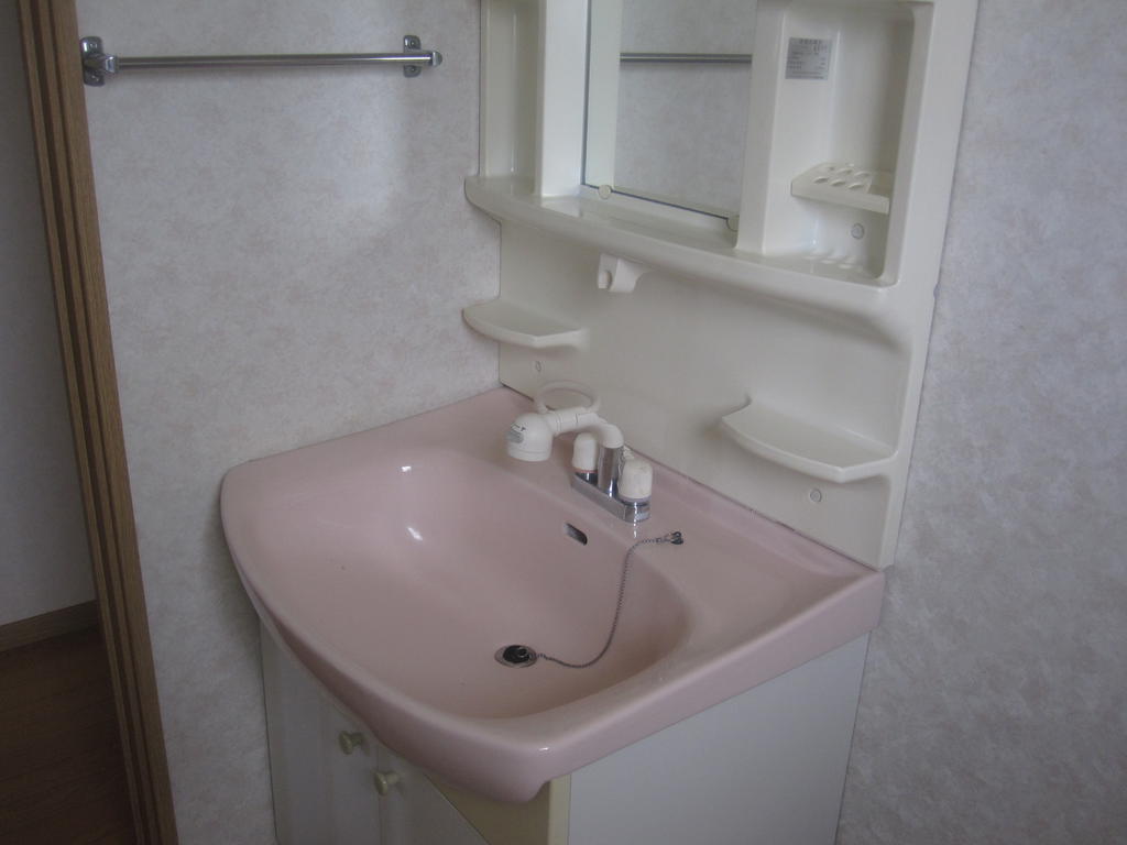 Washroom. Pink Shandore