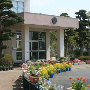 Primary school. 1134m to Kumamoto Tatsuta Mukaeminami Elementary School