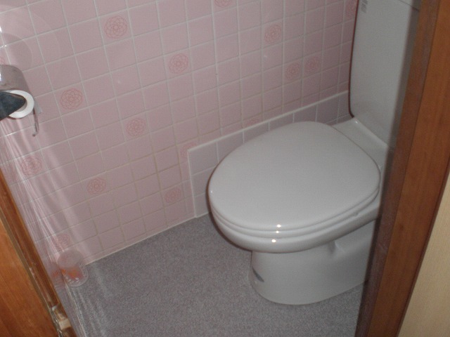 Toilet