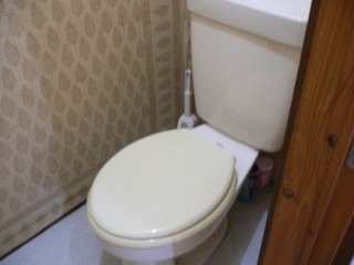 Toilet