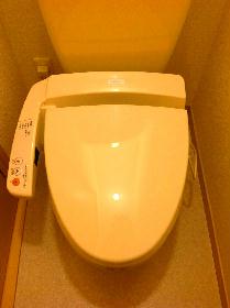 Toilet. With warm water washing toilet seat