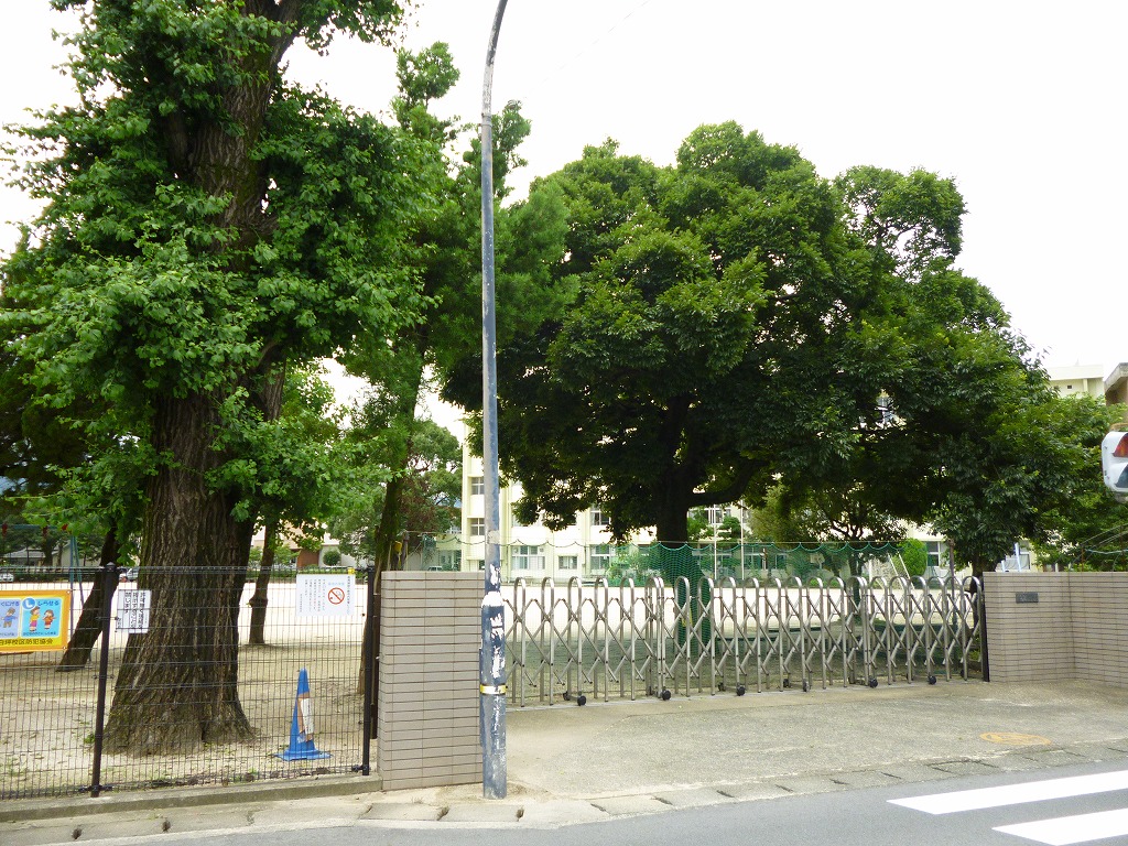 Primary school. 675m to Kumamoto Tatsushiro basis elementary school (elementary school)
