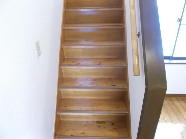 Other introspection. Slip and handrail with stairs