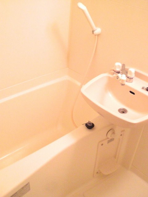 Bath. With a convenient bathroom dryer on a rainy day!