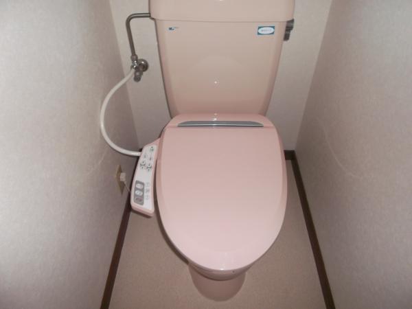 Toilet. Of pale pink bidet