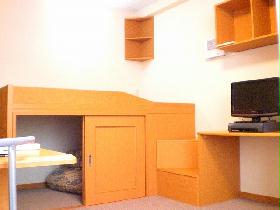 Living and room. Single bed with closet