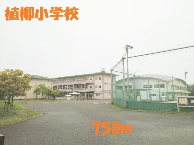 Primary school. Ueyanagi up to elementary school (elementary school) 750m