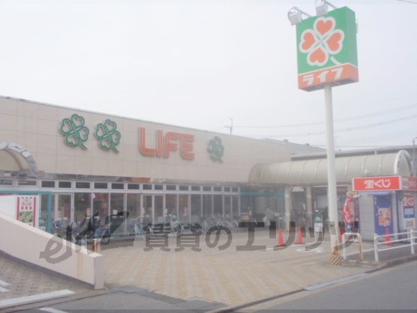 Supermarket. 40m to life Terada shop (super)