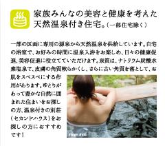 Other. Considering the health and the whole family of Beauty "with a natural hot spring."