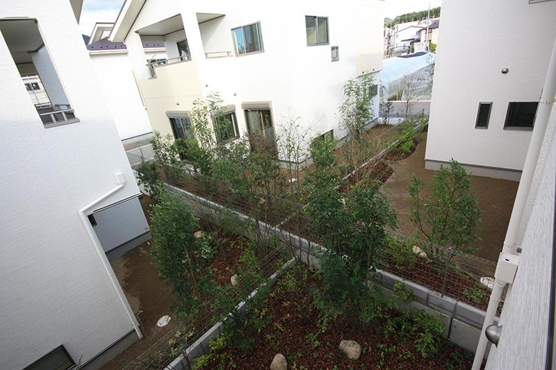 Garden. Begin to create four House adjacent outside living site (October 2013) Shooting