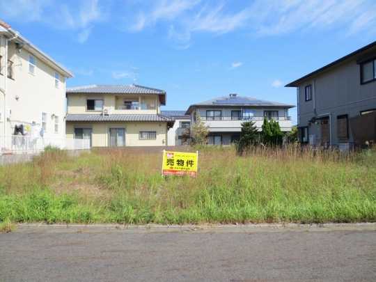 Local land photo. Land: 77.24 square meters.