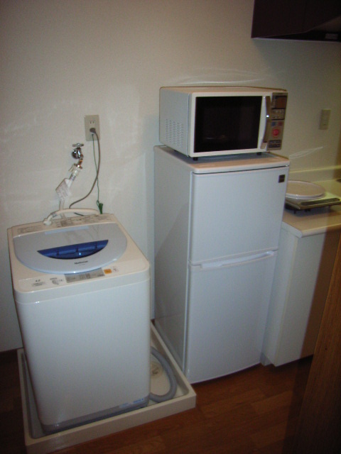 Other. Washing machine, refrigerator, microwave, IH hob