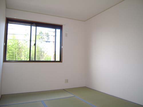 Other room space. Japanese style room