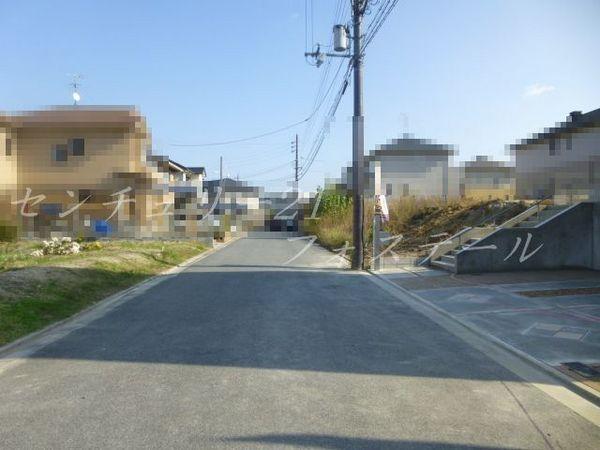 Local photos, including front road. Local (12 May 2013) Shooting