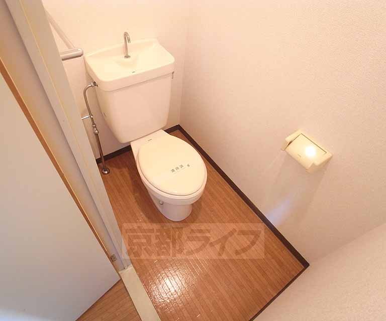 Toilet. It is a simple toilet.