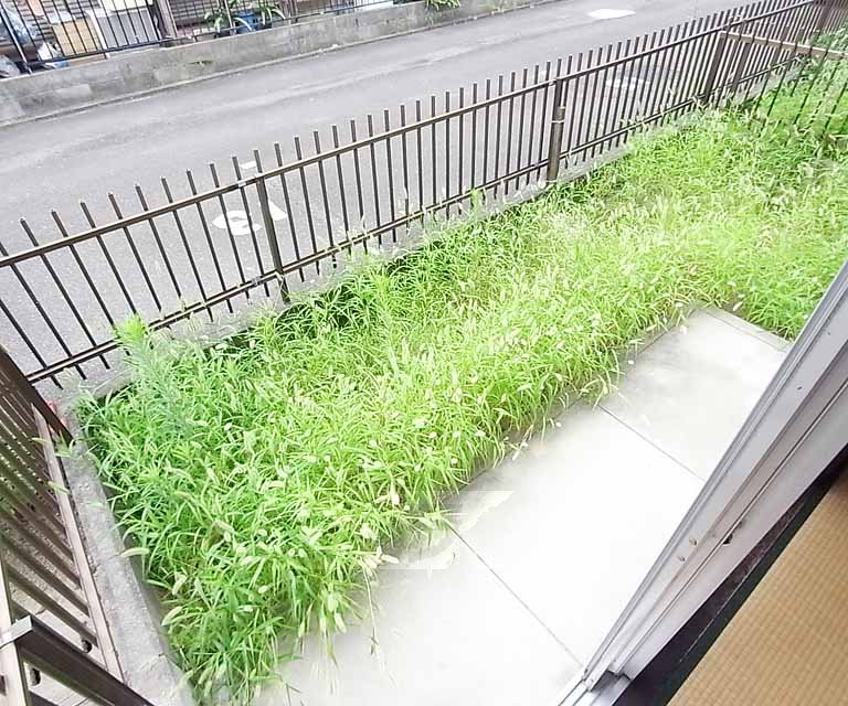 Balcony. Spacious veranda.