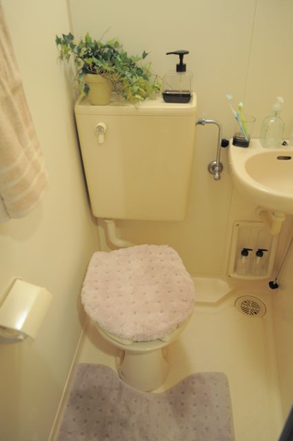 Toilet. model room