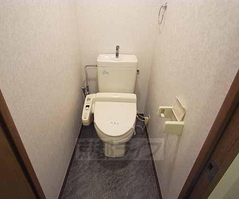 Toilet. Washlet toilet.
