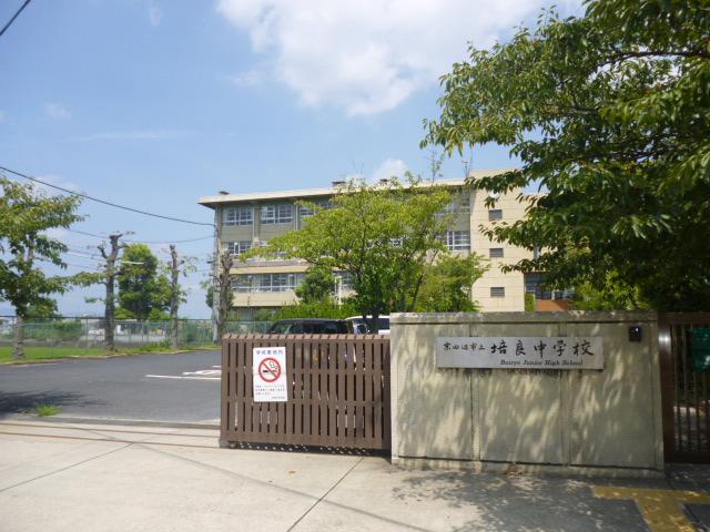 Junior high school. Kyotanabe Municipal 培良 until junior high school 1464m
