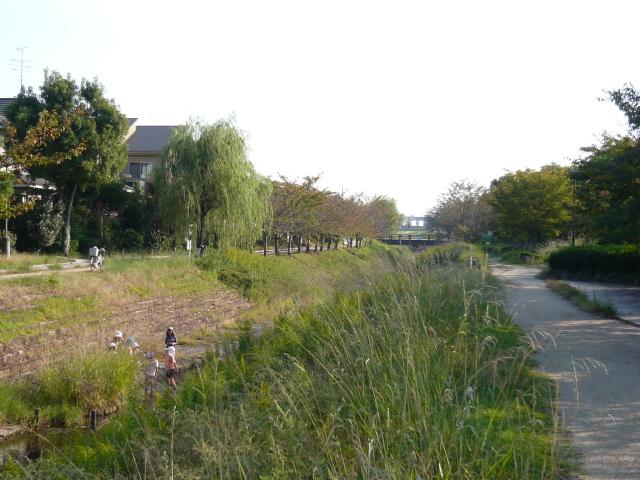 Other Environmental Photo. Proof Kagawa 600m rich surrounded by nature children also spontaneous growth until the green road