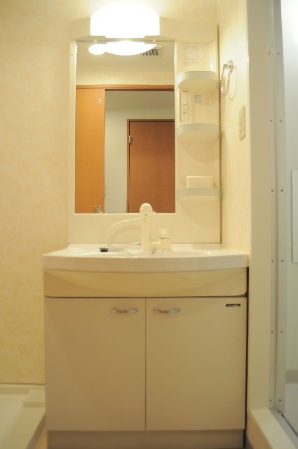 Washroom. Shampoo dresser