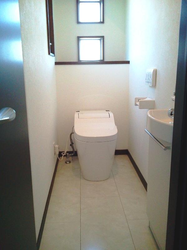 Toilet. Tankless toilet