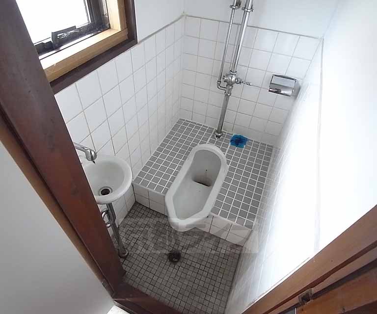 Toilet. Japanese style toilet.