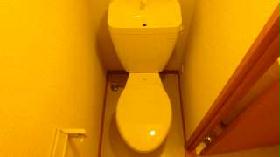 Toilet. There is storage space above.