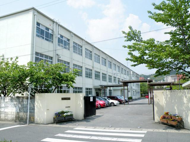 Junior high school. Ogurisu 1446m until junior high school