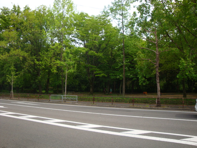 park. Fukakusanishiura South Park until the (park) 1204m