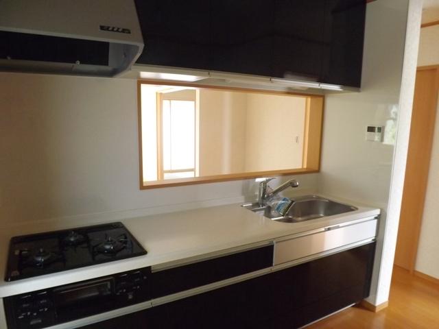 Kitchen. Popular system kitchen in the same specification mom