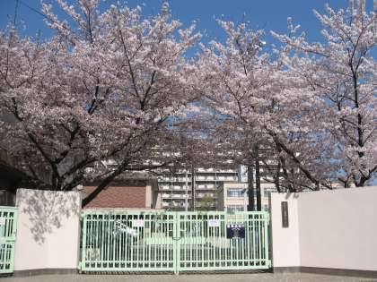Primary school. 533m to Kyoto City Elementary School Mukojima elementary school (elementary school)