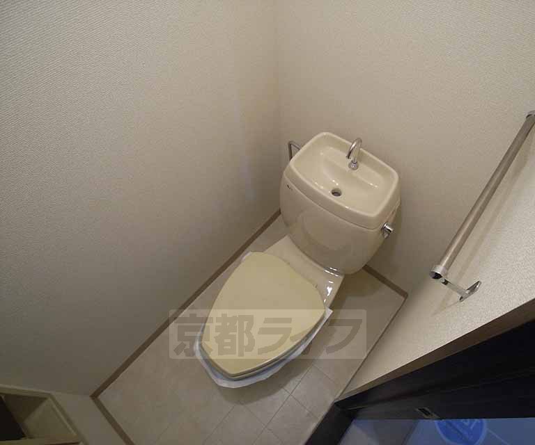Toilet. Beautiful toilet.