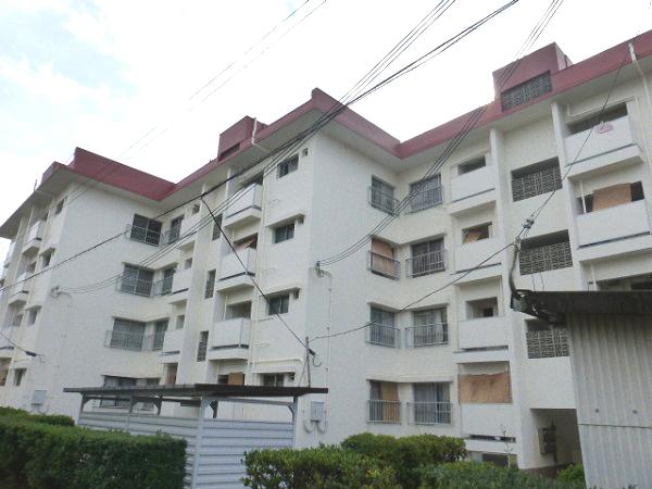 Local appearance photo. Local (12 May 2013) Shooting