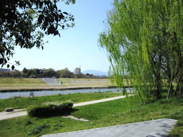 Other common areas. Common areas Local (04 May 2013) Shooting