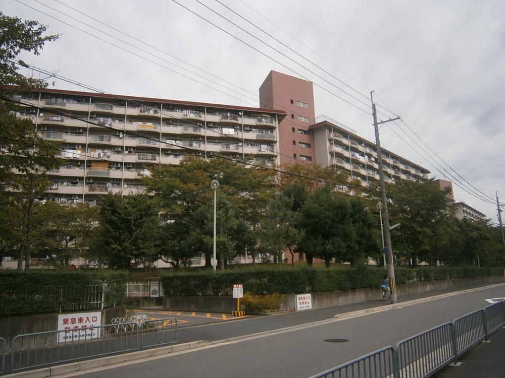 Local appearance photo. Local (10 May 2013) Shooting