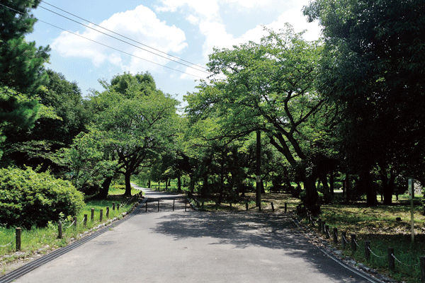 Surrounding environment. Fushimimomoyama Castle Sports Park (a 15-minute walk ・ About 1140m)