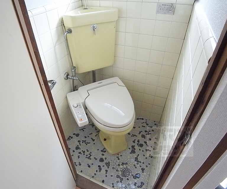 Toilet. Washlet toilet.