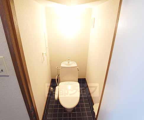 Toilet. Toilet under the stairs