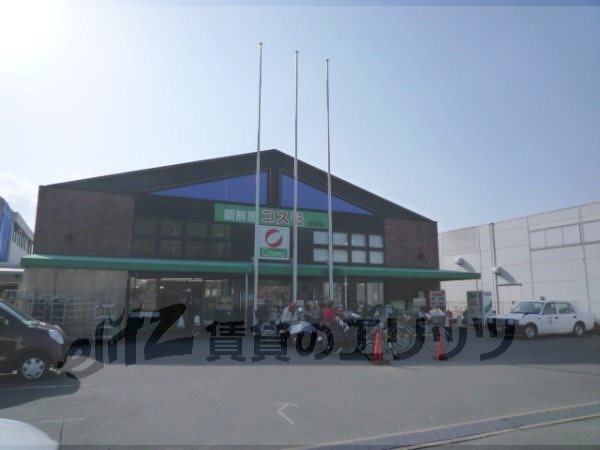 Supermarket. 380m until fresh Museum Cosmo Daigo store (Super)