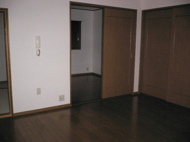 Living and room. Another room