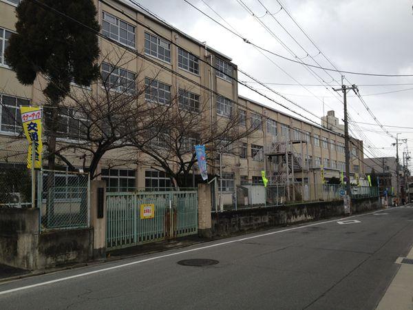 Other. Fujimori elementary school
