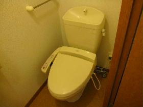 Toilet. Is the B type of the room.