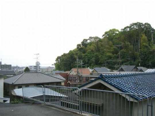 Local land photo. It is a view from the site. View is good because it is a hill.