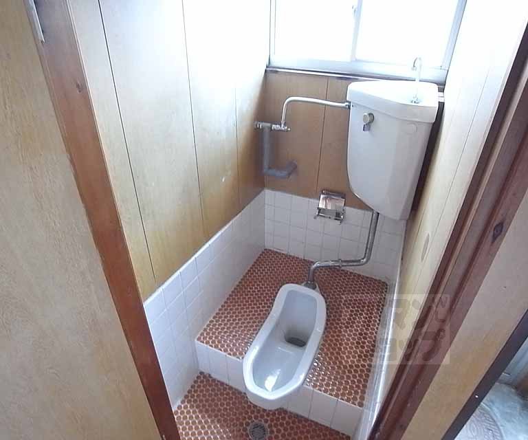 Toilet. Japanese-style toilet.