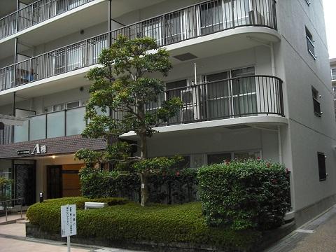 Local appearance photo. Local (12 May 2013) Shooting