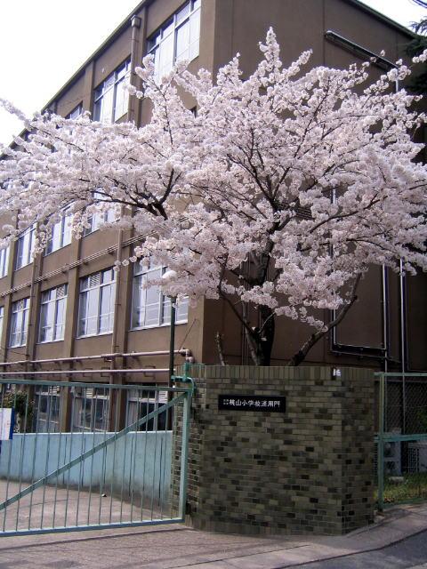 Primary school. 777m to Kyoto Municipal Momoyama Elementary School