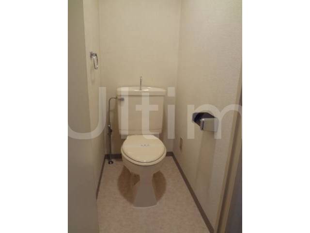 Toilet. Spacious toilet